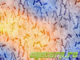 CyE CORP. - Nebula Pills - CyECORP.ro