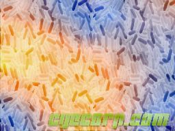 CyE CORP. - Nebula Pills - CyECORP.com